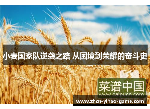 小麦国家队逆袭之路 从困境到荣耀的奋斗史