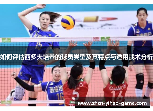 如何评估西多夫培养的球员类型及其特点与适用战术分析 如何评估西多夫培养的球员类型及其特点与适用战术分析