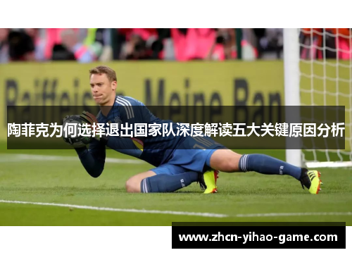 陶菲克为何选择退出国家队深度解读五大关键原因分析